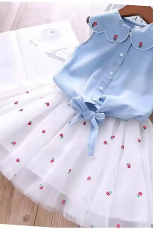 Short skirt set childrens dress